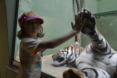 Bavlněná čepice s kšiltem, disney, 110/116/122/128, disney,122