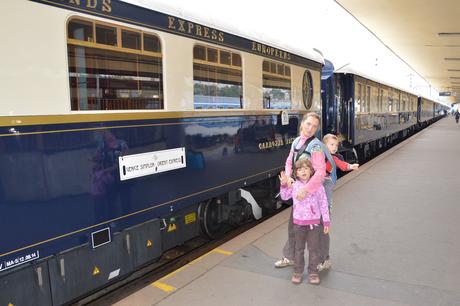 Plátěné kalhoty s koťátky/tygříky, regulace v pase, okay,110