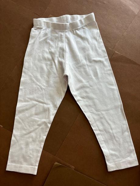 Legíny - v.12/18 měs, st. bernard,86