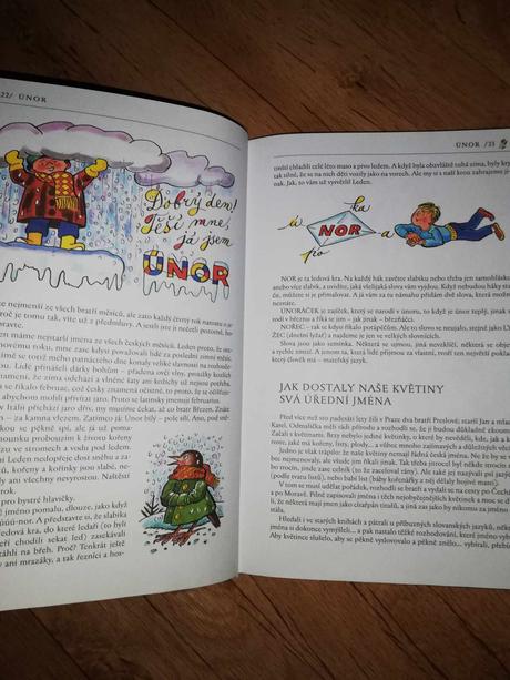 Kniha - barevný rok, 