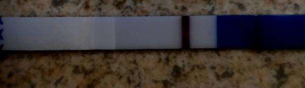 Vidíte na testu duchy, nebo je to jen fantazie?