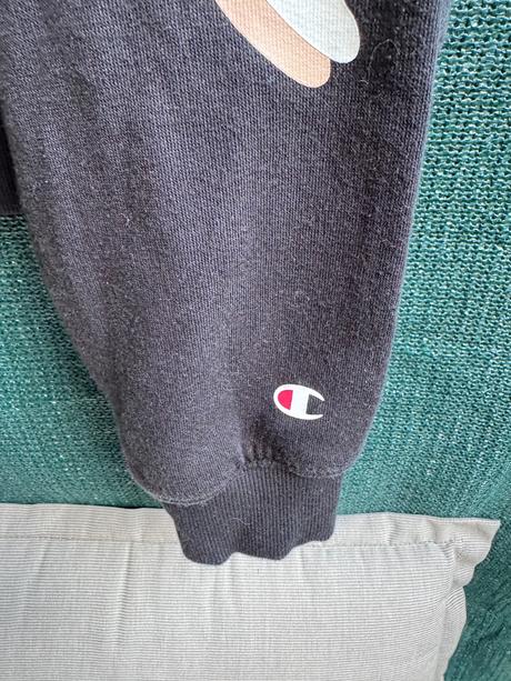 Mikča, champion,158