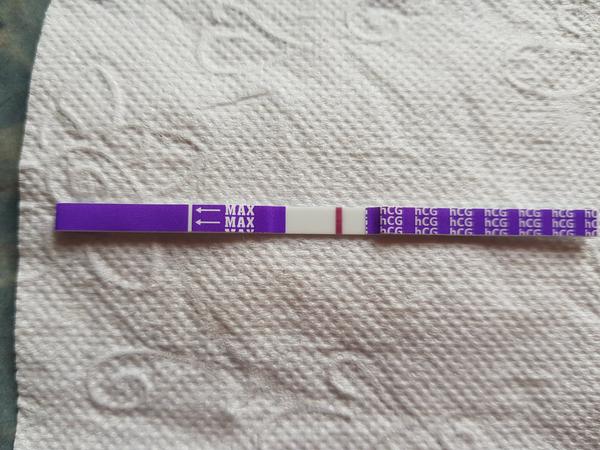 TT Sluníčko. Co myslíte?