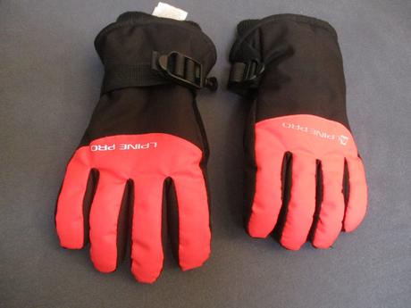 Lyžařské rukavice, alpine pro,m