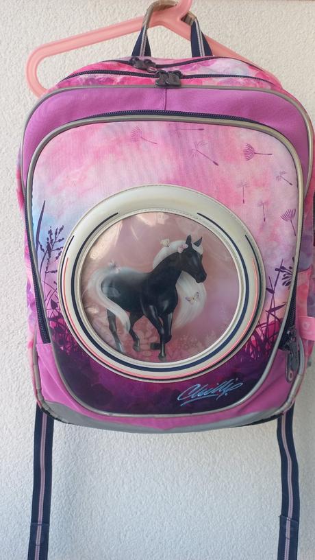 Školní batoh pro 1. třídu topgal endy,