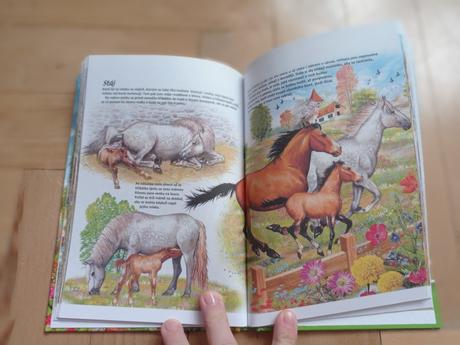 Kniha zvířátka na statku, 