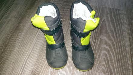 Sněhule lupilu, lupilu,25