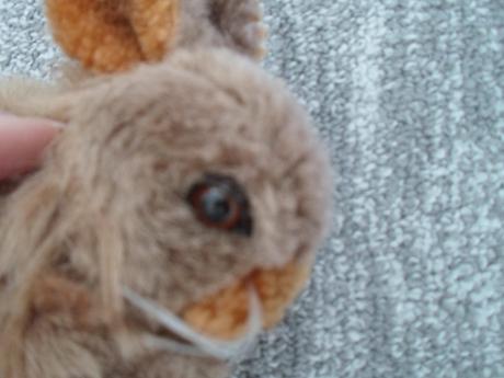 Hnědý plyšový králík, 