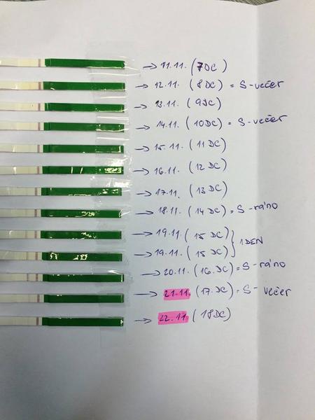 Holky, kdy je nejlepší na to hupsnout? 🙂