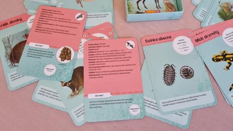 50 našich lesních zvířat,