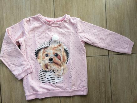 Mikina s yorksirem, 116