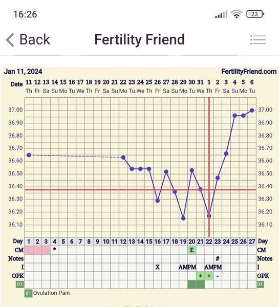 Proč aplikace ukazují ovulaci v různé dny?