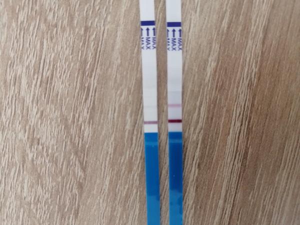 Březňátka 2021. Je tu některá?