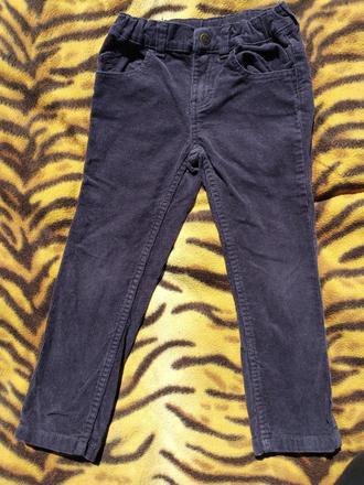 Manšestráky modré, lupilu,104