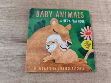 Knížka s otevíracími okýnky / lift-a-flap-book, 