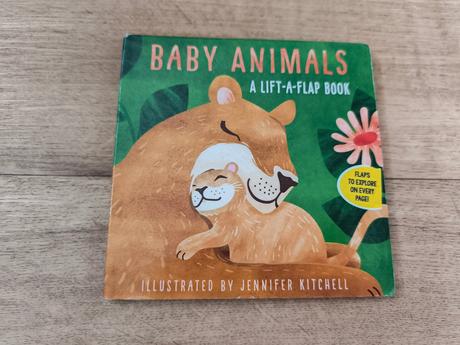 Knížka s otevíracími okýnky / lift-a-flap-book,
