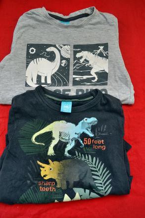 2x tričko s ještěry na 4-6 let, 116