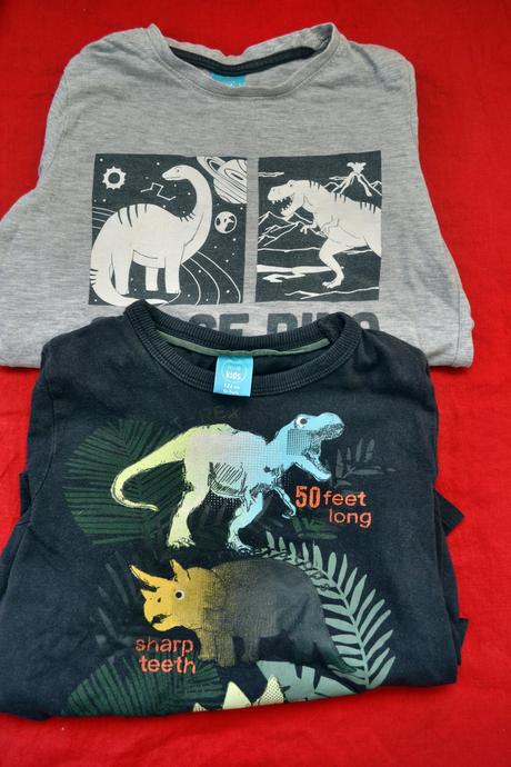 2x tričko s ještěry na 4-6 let, 116