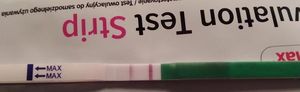 Dr. Max ovulační test. Pozitivní?