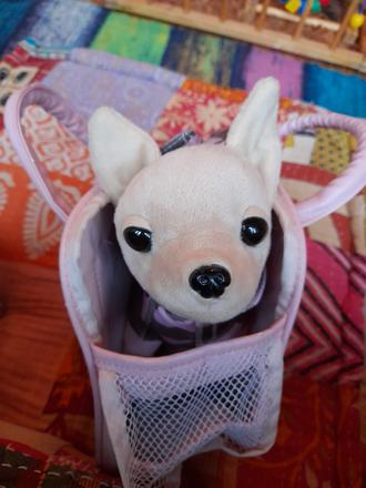 Čivava pejsek plyšový v tašce chi chi love,