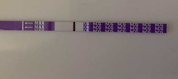 Mamatest: Jak rozlišit mezi ryskou a duchem?