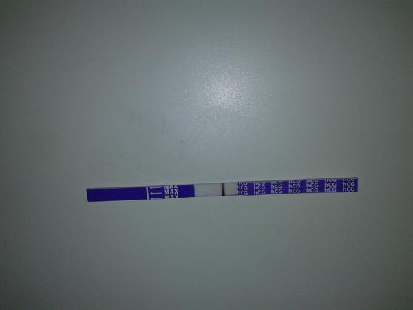 4 dny do ms. Vidíte něco?