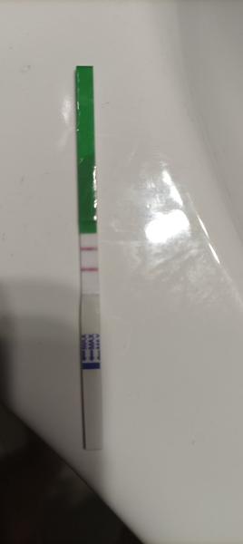 Vyjde těhotenství s pozitivním ovulačním testem a Utrogestanem?