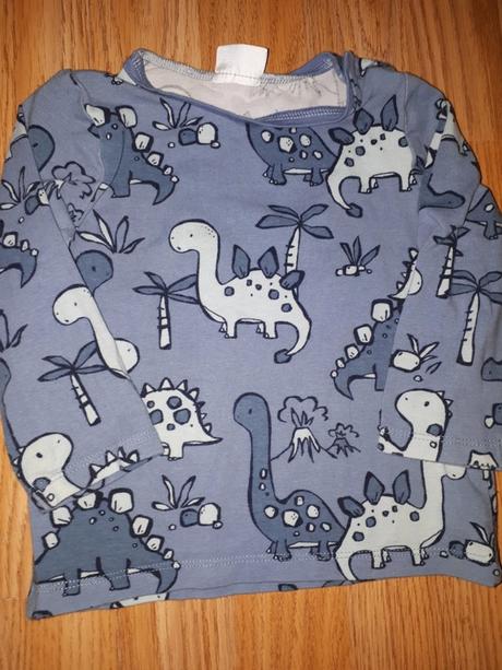 Tričko s dinosaury 80 next, next,80