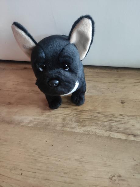 Plyšáci- husky, tygr, buldok, 