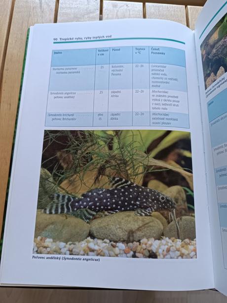 Kniha sladkovodní akvárium - hans j. mayland,