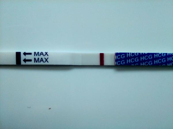 Pozitivní jen jedna značka těhotenského testu