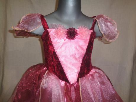 Karneval - šípková růženka, 