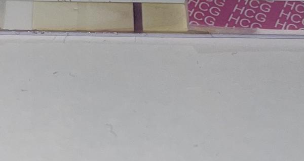 Vidím duchy na těhotenském testu. Co vy?