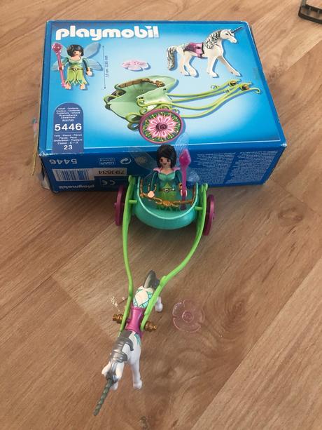 Motýlková víla v kočáru zapřaženém do jednorožce., 