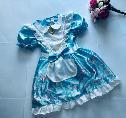 An10/ kostým alenka z říše divů - v.7/8 let, 