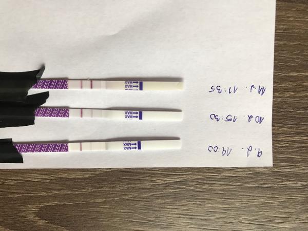 Pozitivní ovu test? Takže ovulace kdy? Kdy sexovat?