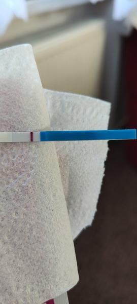 Vidíte duch na těhotenském testu? 