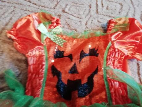 Krásné šatičky na karneval-1-3roky-top stav,