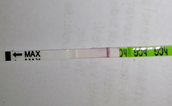 Je test vadný nebo spolehlivý? Jak ověřit výsledek?