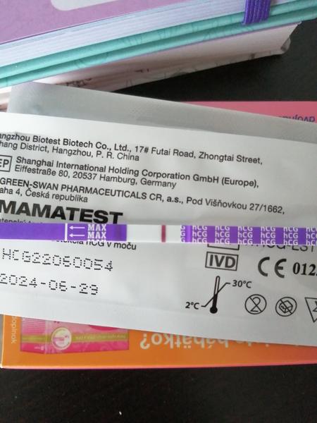 Mohu věřit negativnímu těhotenskému testu před menstruací?