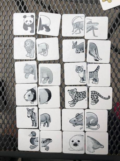 Konzentrace - predskolak / 1.+2. trida,