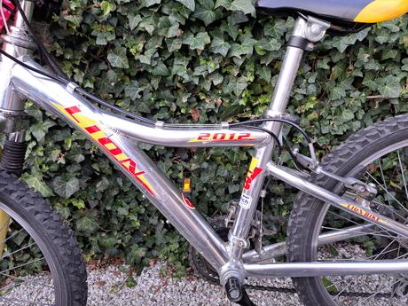 Dětské kolo lion 20, 20