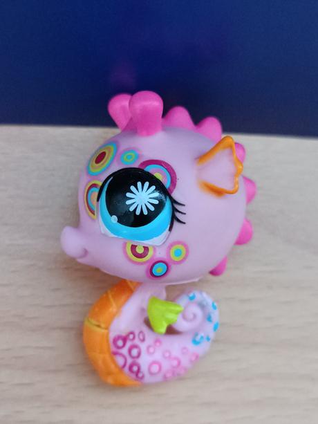 Lps mořský koník zdobený, 