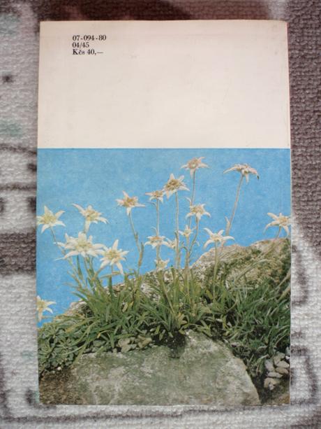 Kniha skalničky našich zahrad 1980., 