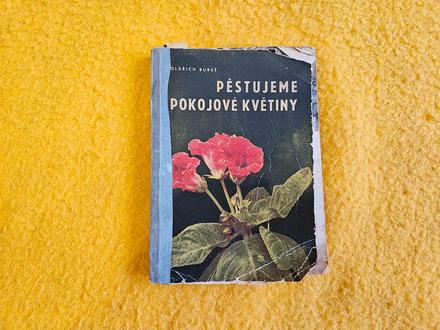 Kniha knížka pěstujeme pokojové rostliny bureš,