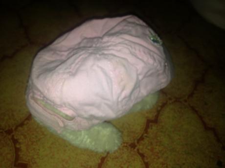 Dívčí kšiltovka květinky a motýlek, obvod 40-45 cm, 86