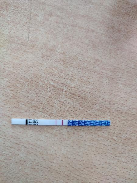 Je těhotenský test pozitivní? Diskuse pro ženy.