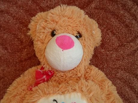 Hnědý plyšový medvěd velký, 