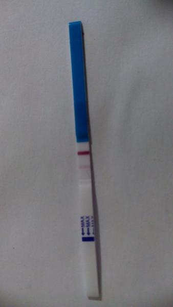 Duch nebo že by se zadařilo?