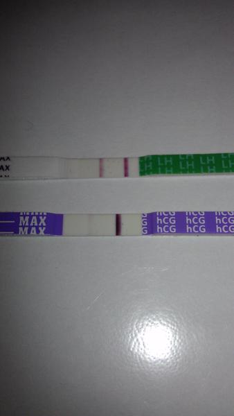 Tak asi se zadařilo, co myslíte?